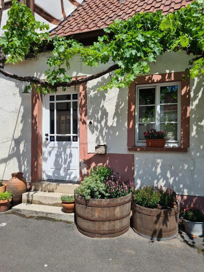 Neustadt an der Weinstraße Schoene Ferienwohnung Mit Kamin מראה חיצוני תמונה